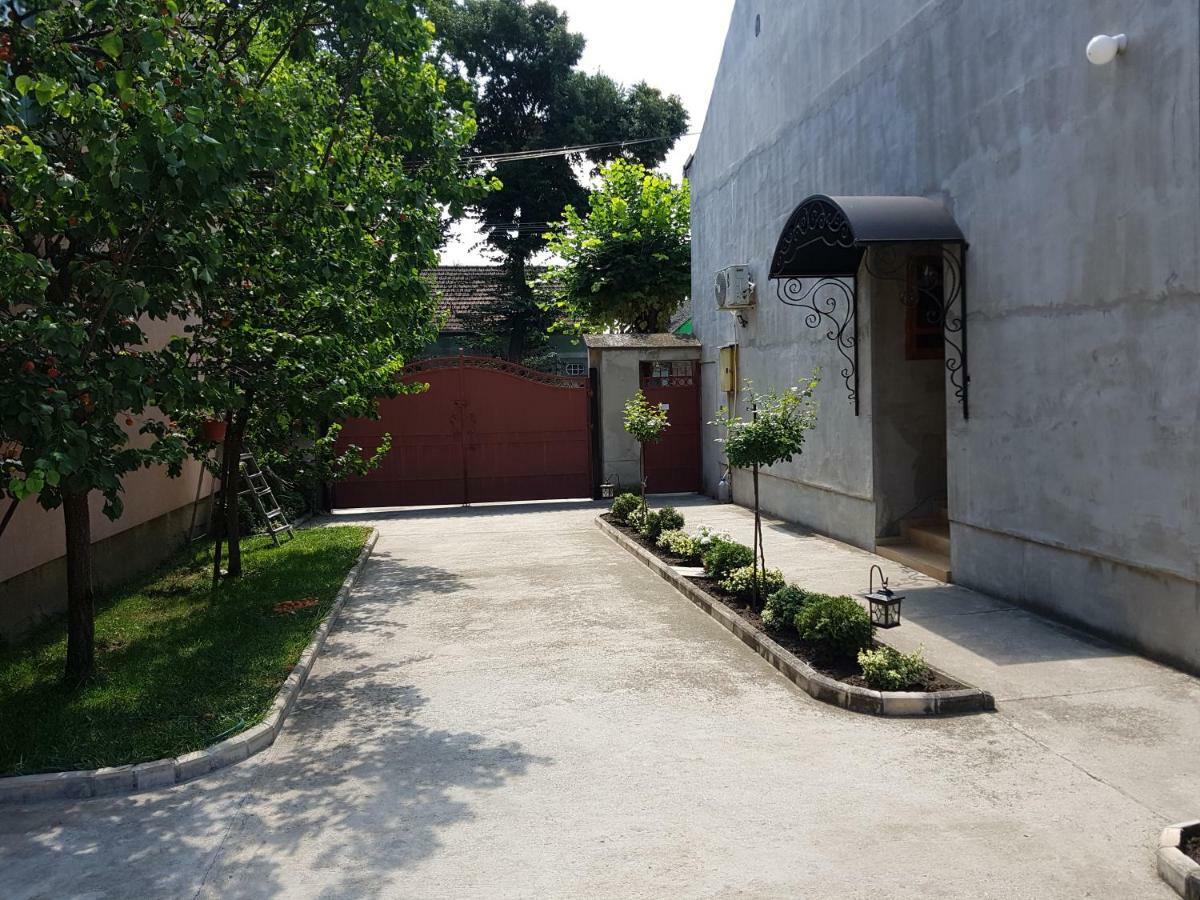 Apartman Vila Milica Kikinda エクステリア 写真