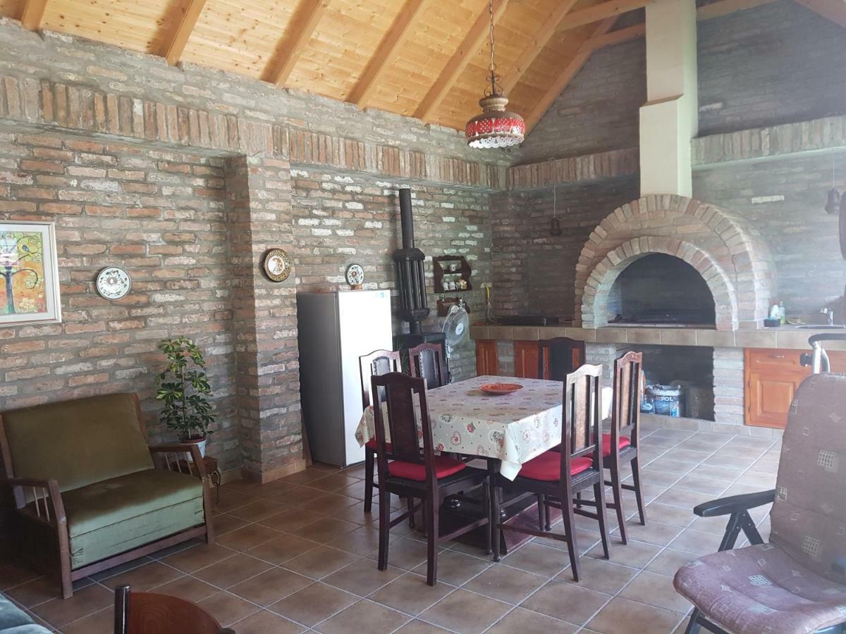 Apartman Vila Milica Kikinda エクステリア 写真